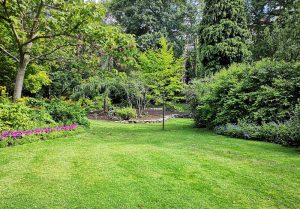 Optimiser l'expérience du jardin à Polaincourt-et-Clairefontaine